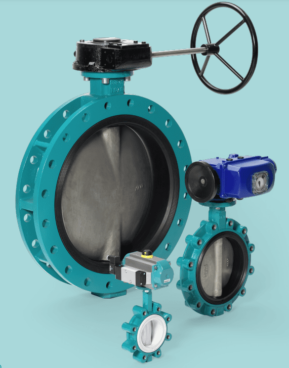 interapp-centric-butterfly-valve-with-elastomer-liner-desponia-1